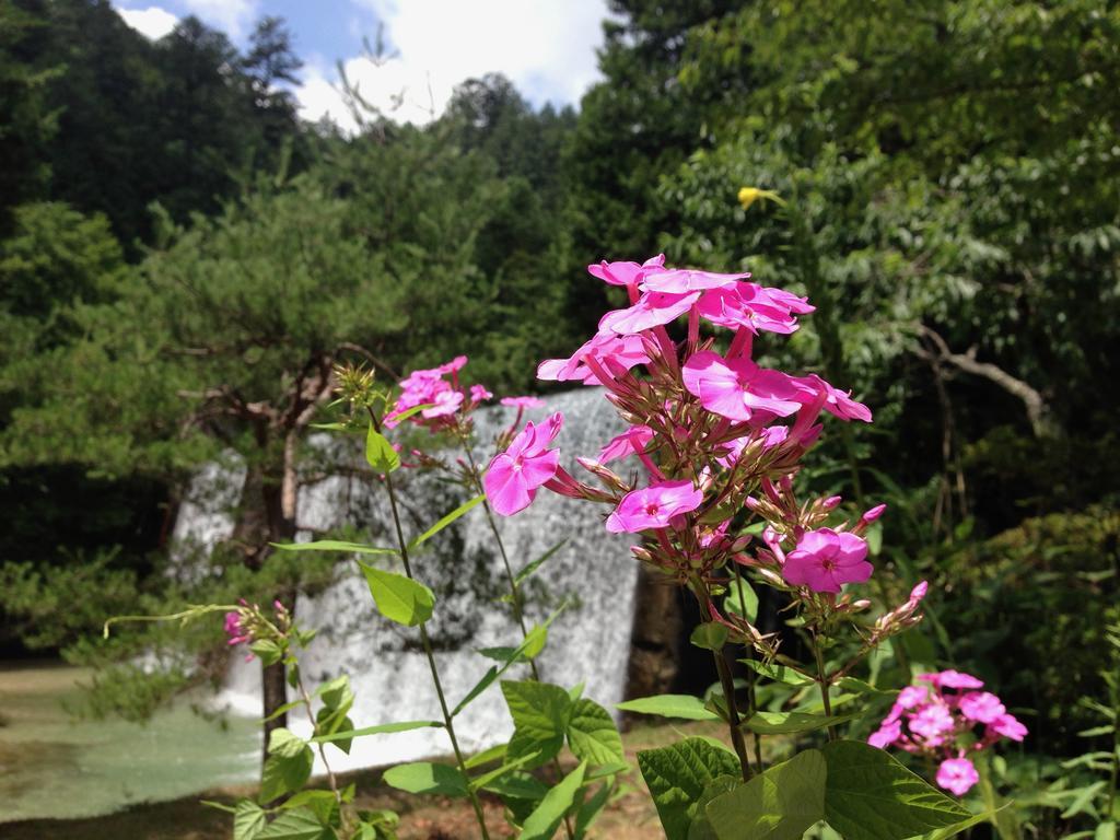 Takimi Onsen Inn That Only Accepts One Group Per Day Nagiso Exterior photo